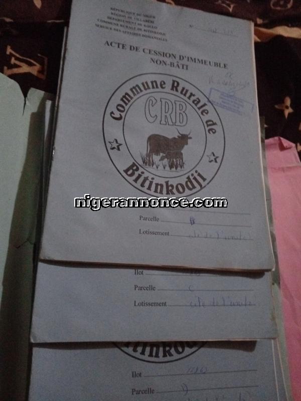 3 parcelles | Niger annonce