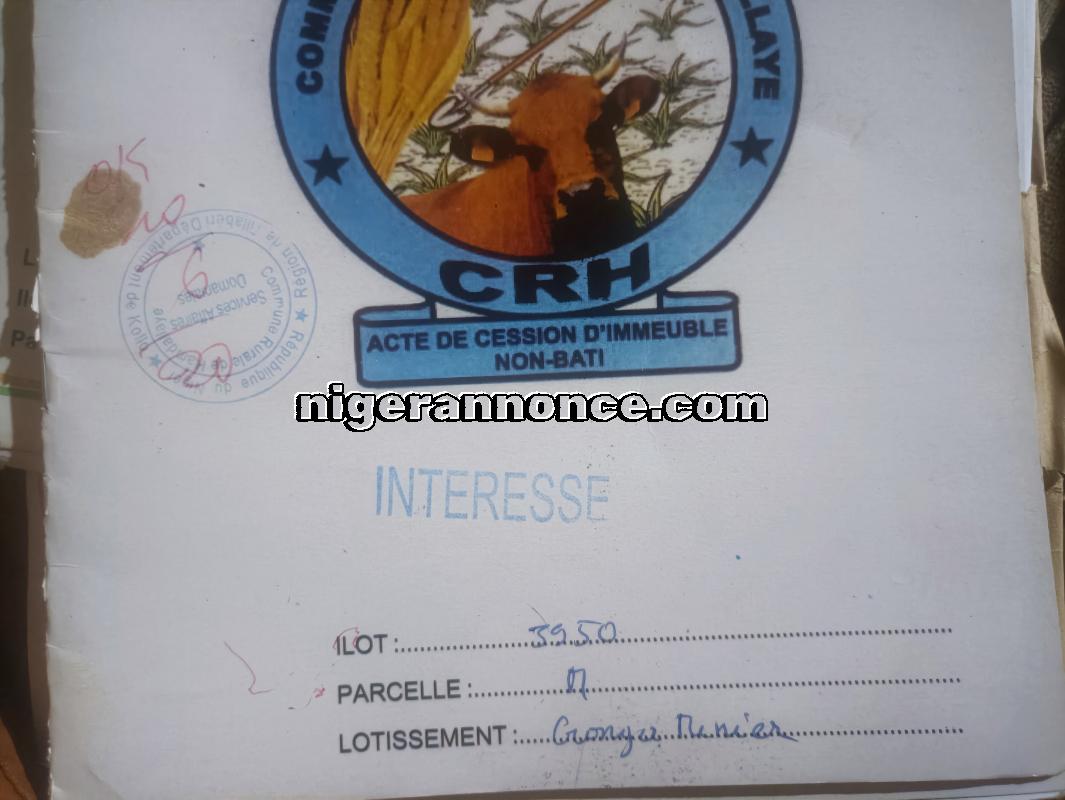 03 Terrains nus | Niger annonce