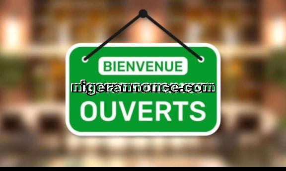 Besoin du téléphone a 10000 - Tahoua