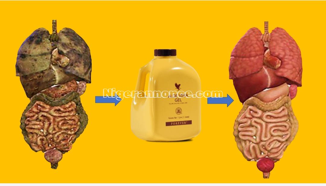 Gel d'alors vera - Niamey