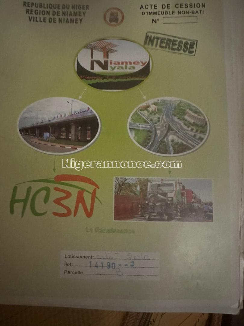 Parcelles N'y 2010 Îlot : 14190 - Niamey
