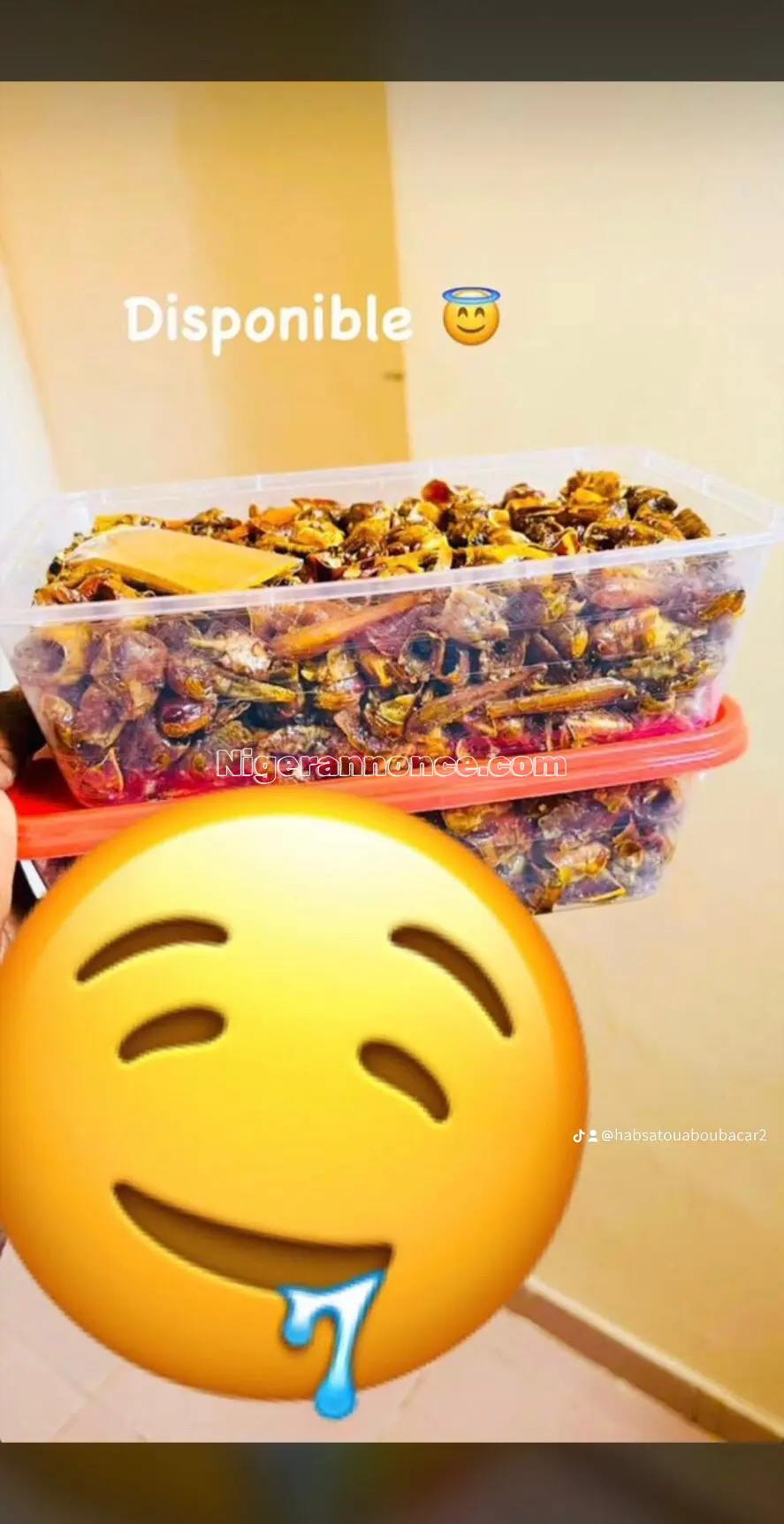 Criquet doux et croustillant sans déchet 🤤🤤🤤🤤👌🌶️ - Niamey