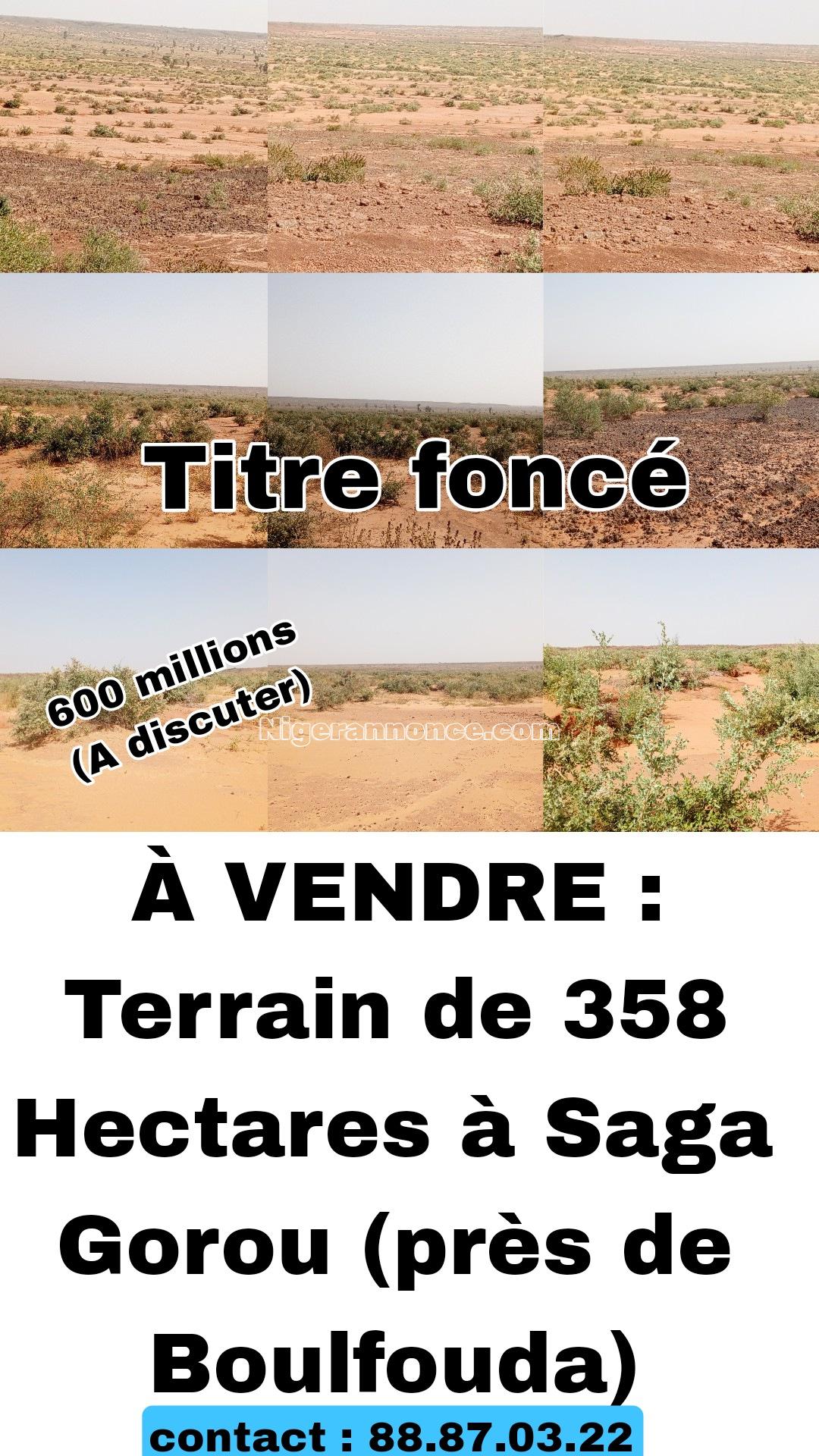 À VENDRE : Terrain de 358 Hectares à Saga Gorou (près de Boulfouda) - Niamey