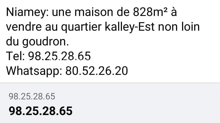 Niamey: Une maison de 828m2 a vendre au quartier kalley-est non loin du goudron | Niger annonce