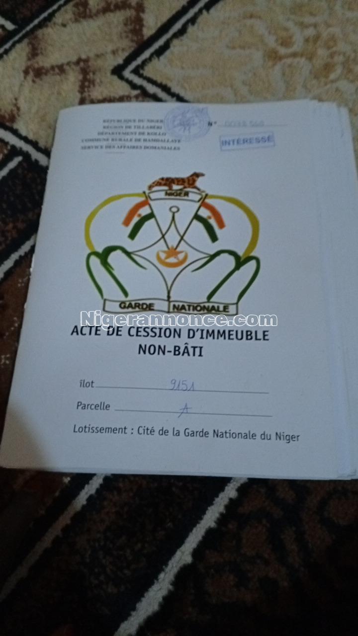 Parcelles | Niger annonce